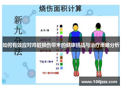 如何有效应对肾脏损伤带来的健康挑战与治疗策略分析